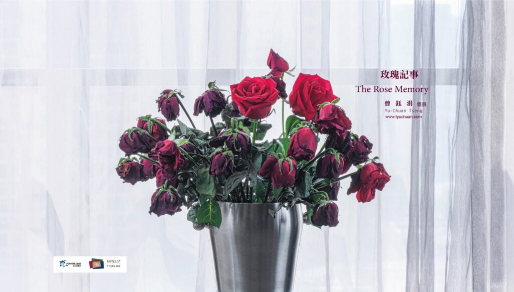 2019	Rose Memory-Tseng Yu-Chuan Solo exhibition